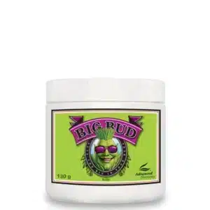 Big bud polvo Advanced nutrients